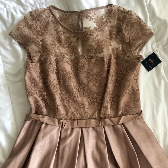 Taylor Dresses & Skirts - Taylor WMNS SZ 14 Fit & Flare Dress